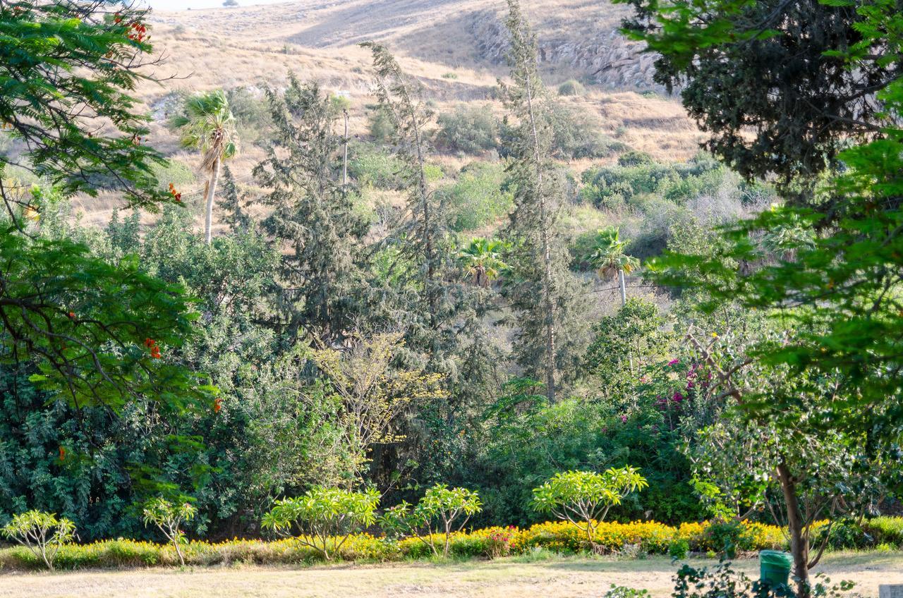Bait Alfa Kibbutz Country Lodging Bet Alfa Стая снимка